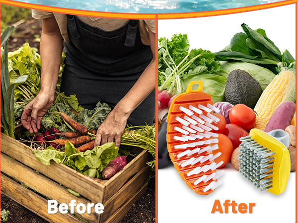 Vegetable Brush