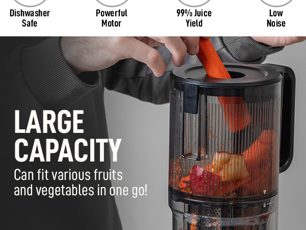 Masticating Juicer