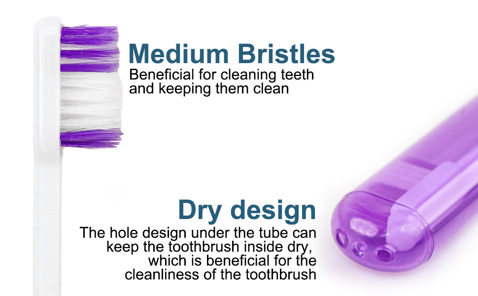 toothbrush toothpaste set bulk