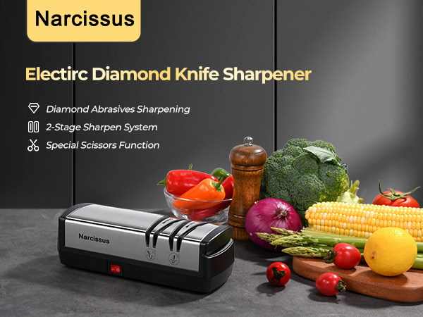 electric knife sharpener