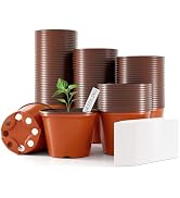 Bluckincle 100 Pcs Plant Nursery Pots, 4 Inch Small Plant Seedling Pots with Labels Plastic Plant...