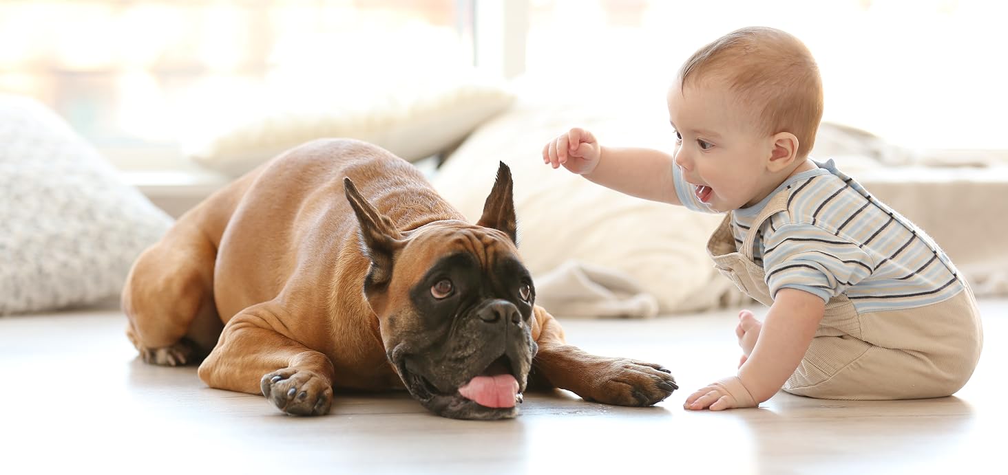 pet