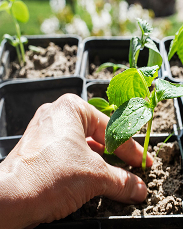 drip irrigation fittings for gardener