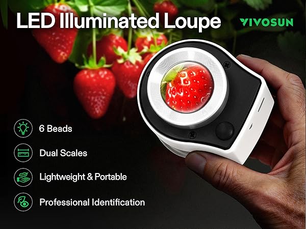 LED IllUMINATED LOUPE
