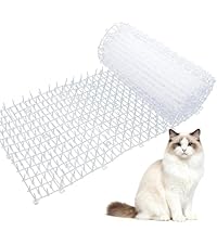 https://m.media-amazon.com/images/I/41F5y1VEPWL.__AC_SR200,225___.jpg