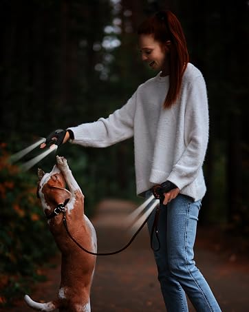 https://m.media-amazon.com/images/S/aplus-media-library-service-media/17a9d779-bb63-4f4c-89ee-02ffedeb8061.__CR151,0,1199,1500_PT0_SX362_V1___.jpg