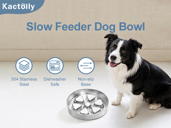 metal slow feeder dog bowl