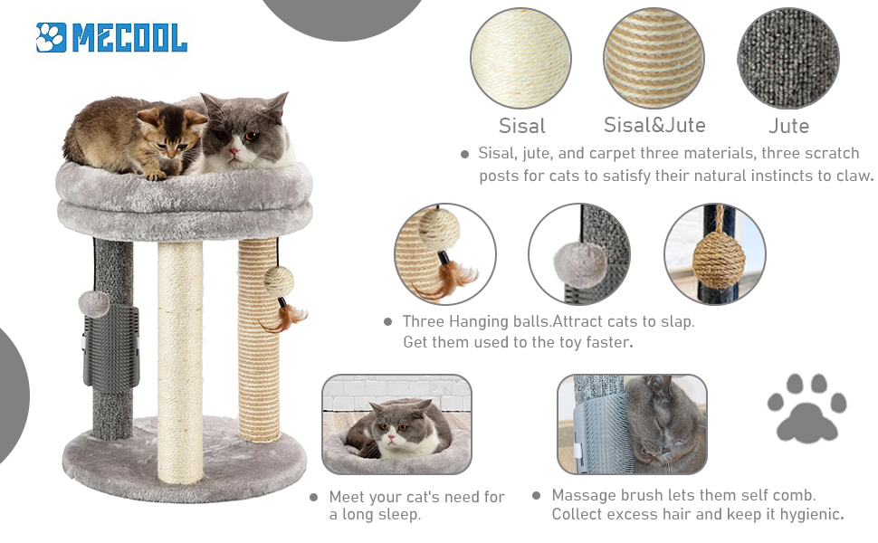 cat scratching post