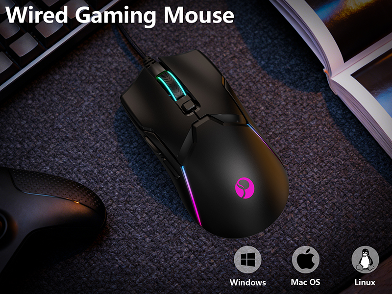 mouse