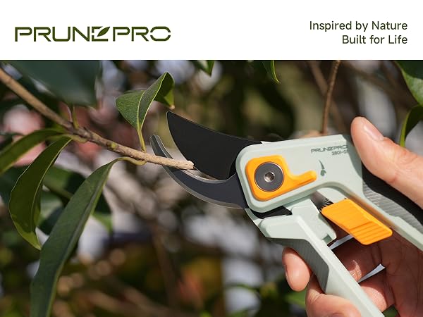 garden clippers