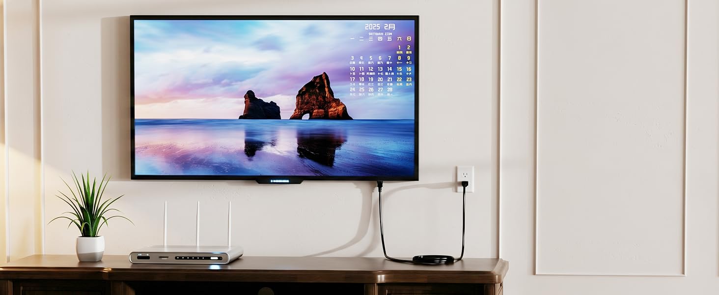TV