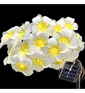 Outdoor Solar Lights - 20Ft 20LED, Flower String Light for Outside, Waterproof Garden Lights with...