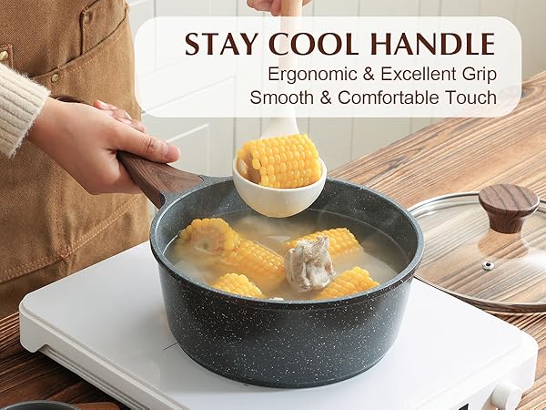 nonstick saucepan with lid