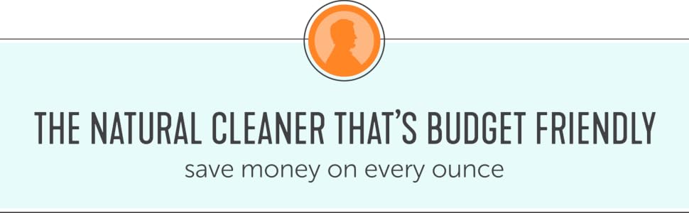 Natural Cleaner That's Budget Friendly