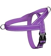 rabbitgoo Dog Harness No Pull,Quick fit for Large Dogs with Soft Padded Handle, Chest Adjustable ...