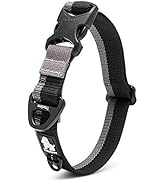TRUE LOVE Dog Training Collar Nylon Webbing Adjustable for Small/Medium/Large Dogs, Easy Buckle D...