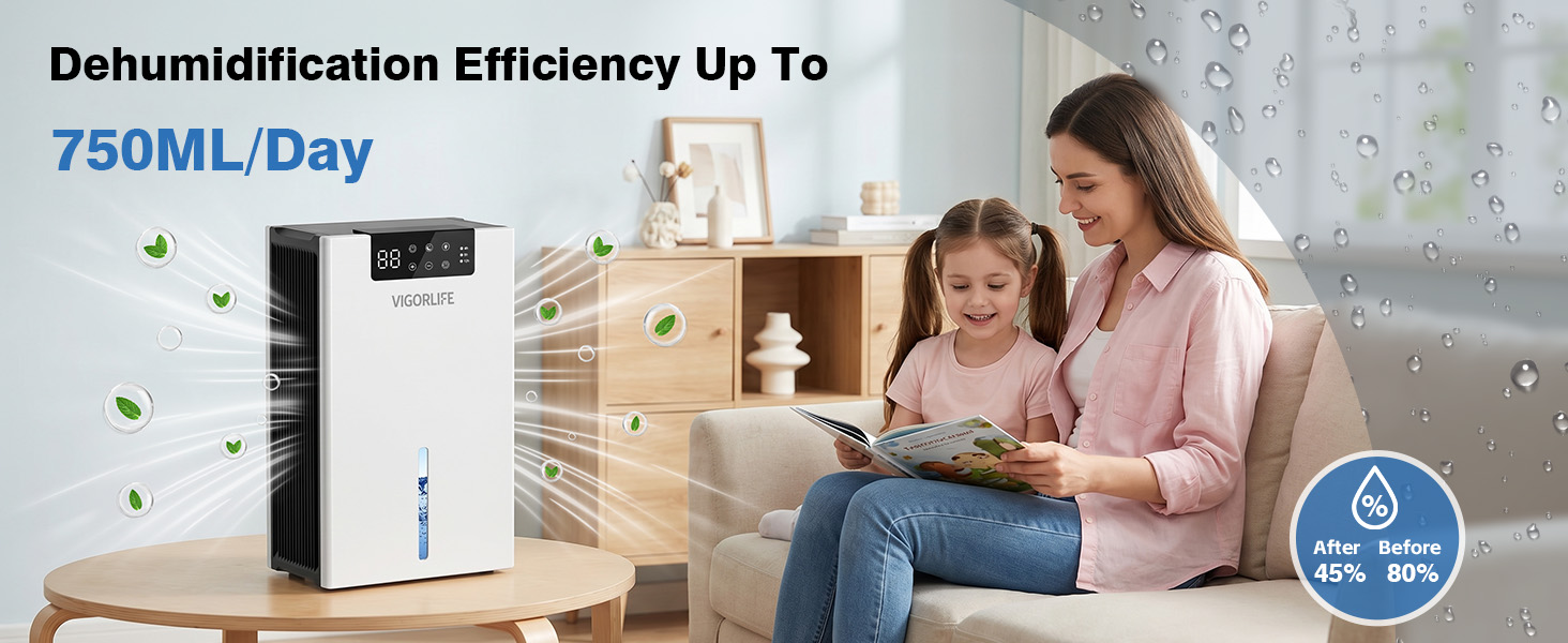 room dehumidifier