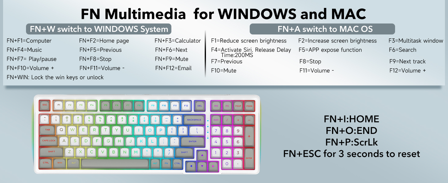 multimedia