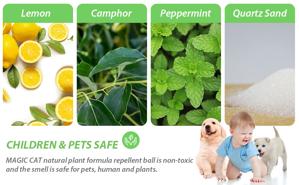Children & Pet Safe