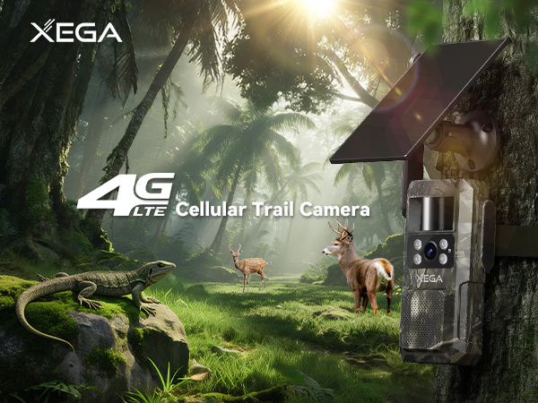 cellular trail camera
