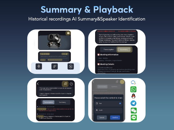 summary and playback
