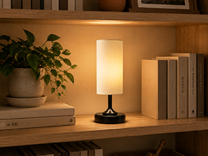 cordless lamp