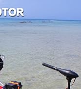 trolling motor battery