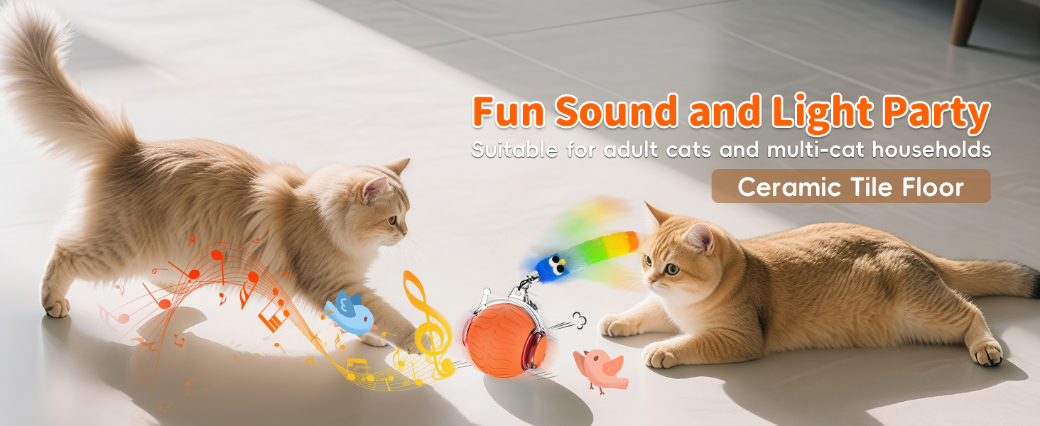 interactive cat ball toys for indoor cats