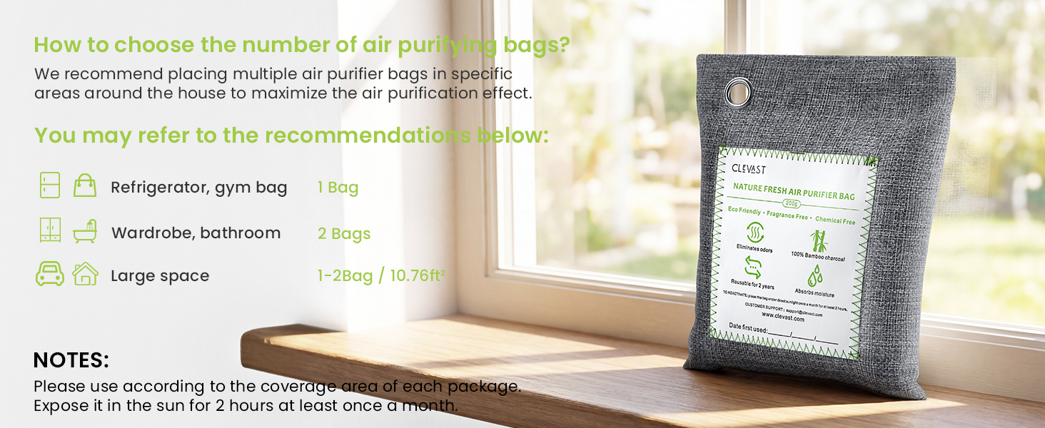 activated charcoal bags car air purifier