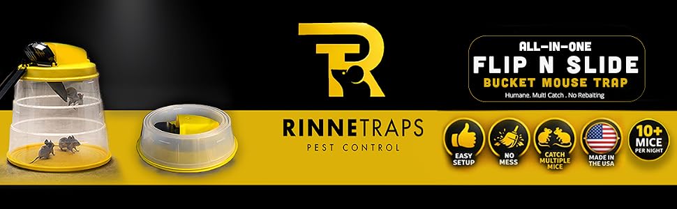 Logo + Product