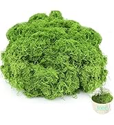 Fake Green Moss for Crafts.17.6OZ Decor Artificial Faux Moss for Potted Plants Indoor. Moss Prese...