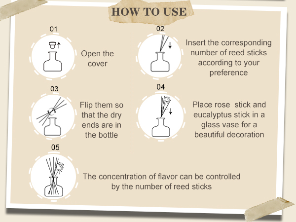 Reed Diffuser Set