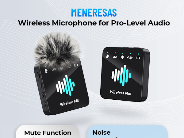 Mini Microphone