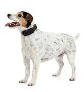 PetSafe Guardian GPS 2.0 Dog Fence + Tracking – Wireless Dog Fence with Reliable Dual Frequency G...