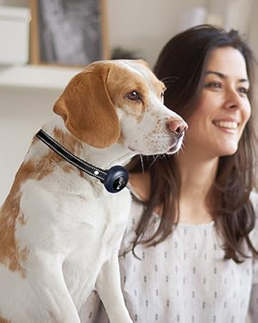 dog shock collar dog bark collar 2024