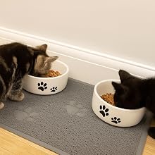 Pet food bowl on mat to catch food spills