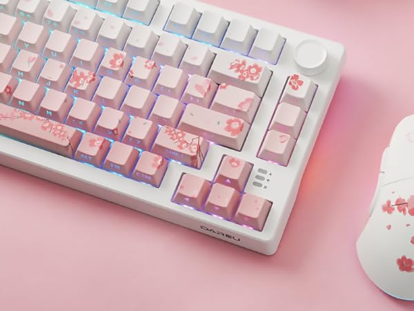 Sakura keyboard and mouse combo