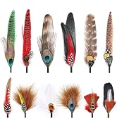 FeelfunFeather 12PCS Hat Feathers, Assorted Natural Colorful Feathers for DIY Western Cowboy Hats...