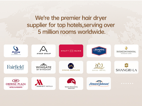Bowei hair dryer