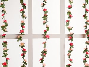 rose vines