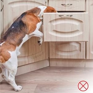 Prevent pets from opening cabinet doors
