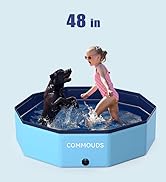 kiddie pool
