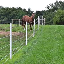 Horse Fence