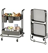 DTK 2 Tier Metal Foldable Utility Rolling Storage Cart, Handle and Locking Wheels, 3 Small Basket...