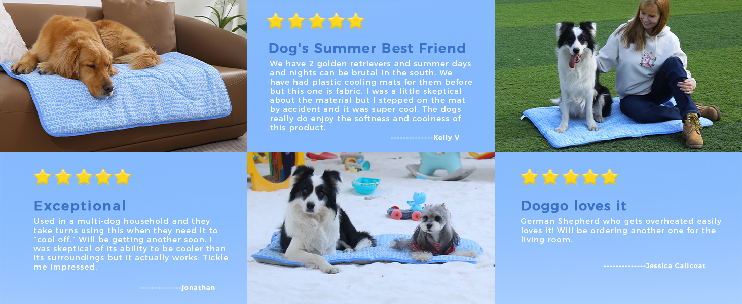 High quality, dogs like it