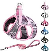 AIITLE Extra Small Dog Harness - Step in Vest Harness with A Leash, Reflective Bands, Soft Breath...