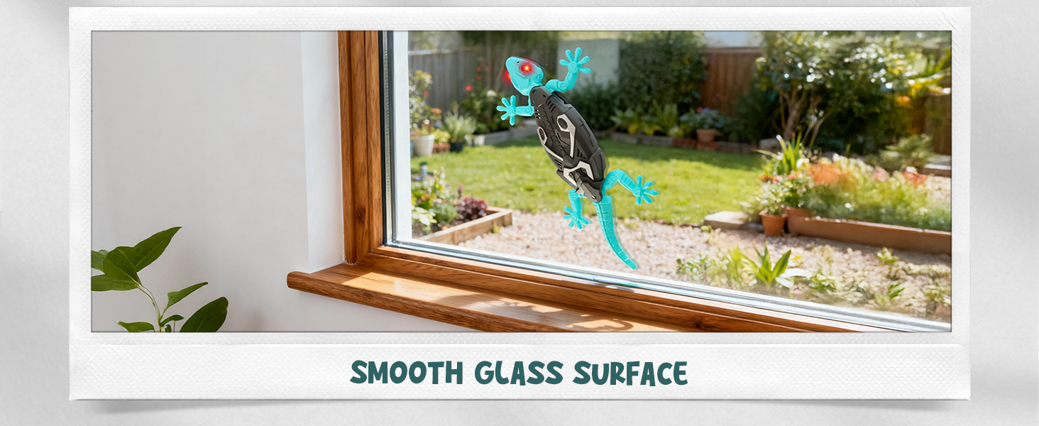 wall climbing lizard