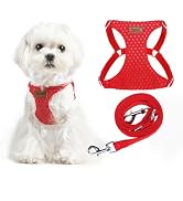 PUPTECK Dog Harness and Leash Set Small Sized, Step-in Cute Puppy Harness, Soft Lightweight Padde...