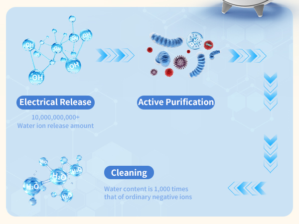 pet air purifier for home