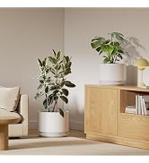 LE TAUCI Ceramic Plant Pots, 10 + 12 Inch Pots for Plants, Indoor Plant Pots for Home and Office,...